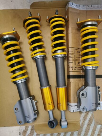 Evo x Ohlins suspensions